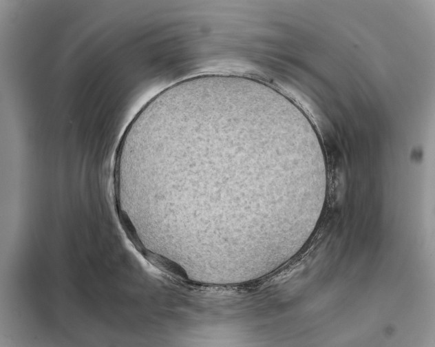 X0000097901103200804111038