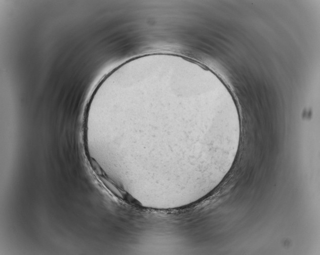 X0000097901104200804111038