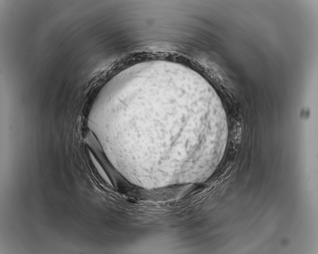 X0000097901110200804111037