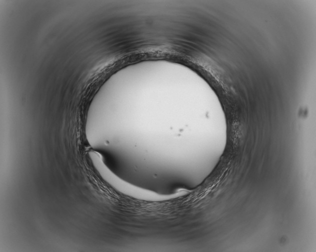 X0000097901111200804111037