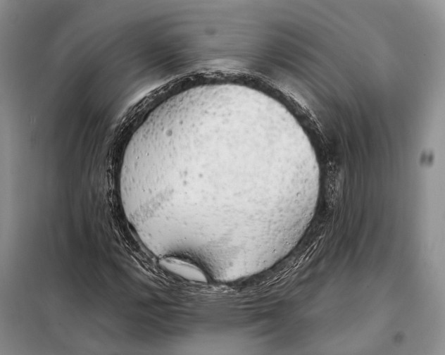 X0000097901112200804111037