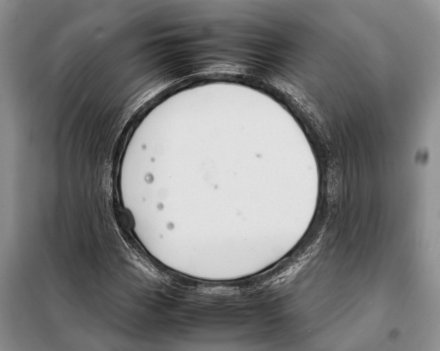 X0000097901113200804111037