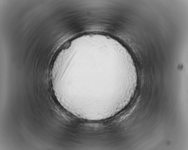 X0000097901121200804111037