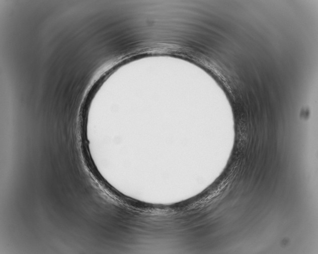 X0000097901122200804111037