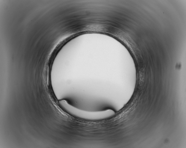 X0000097901123200804111037