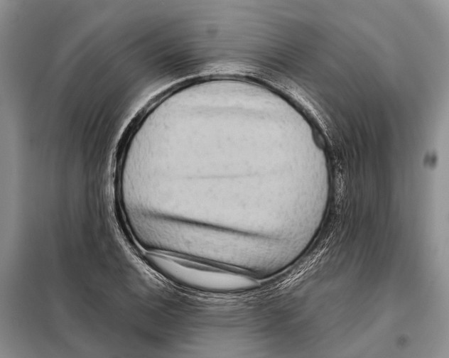 X0000097901124200804111037