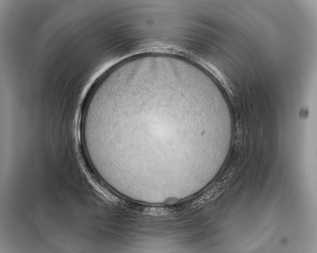 X0000097901128200804111037