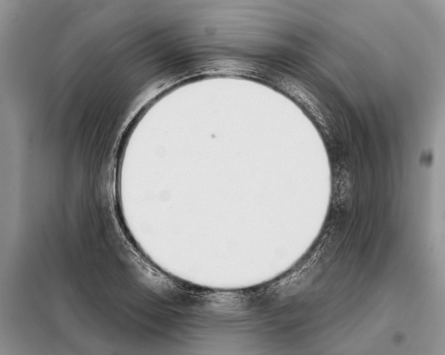 X0000097901130200804111037