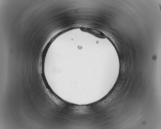 X0000097901131200804111037