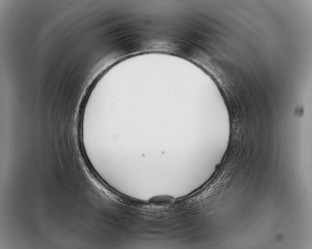 X0000097901135200804111037