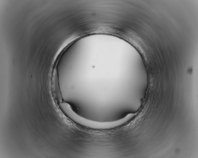 X0000097901138200804111037