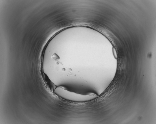 X0000097901140200804111037