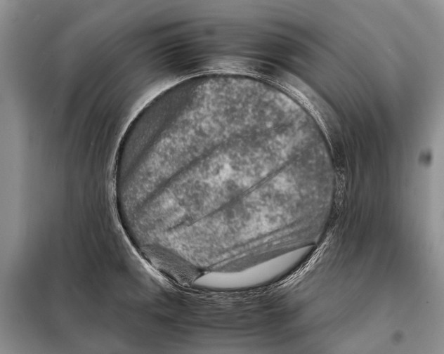 X0000097901141200804111037