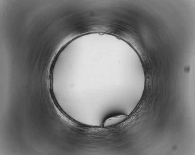 X0000097901143200804111037