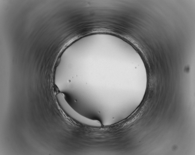 X0000097901145200804111037