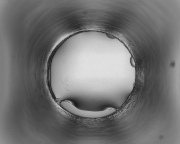 X0000097901147200804111037