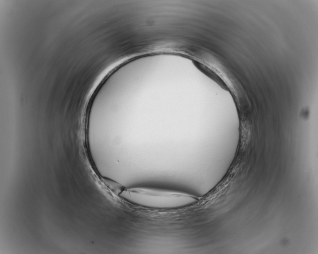 X0000097901148200804111037