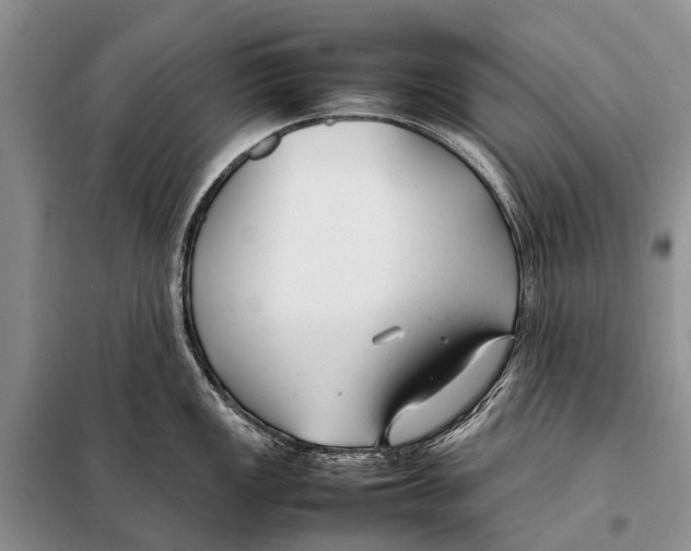 X0000097901149200804111038