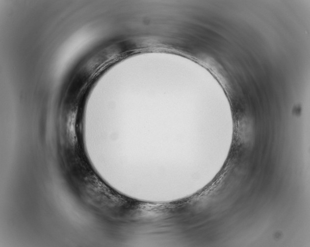 X0000097901150200804111038