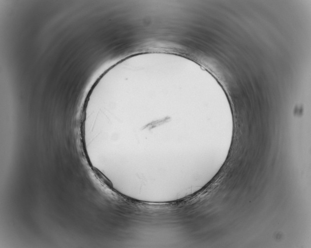 X0000097901152200804111038