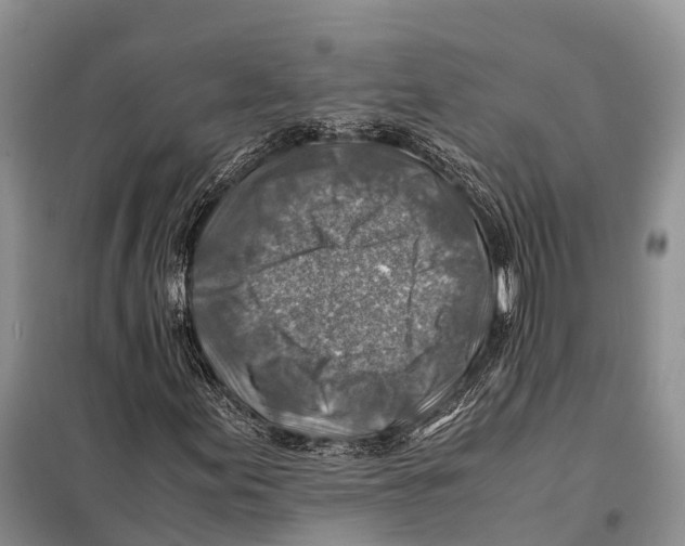 X0000097901155200804111037