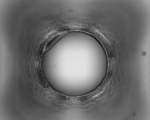 X0000097901157200804111037