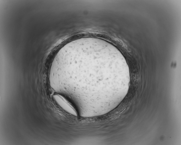 X0000097901159200804111037