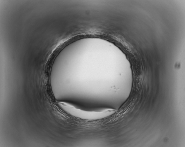 X0000097901160200804111037