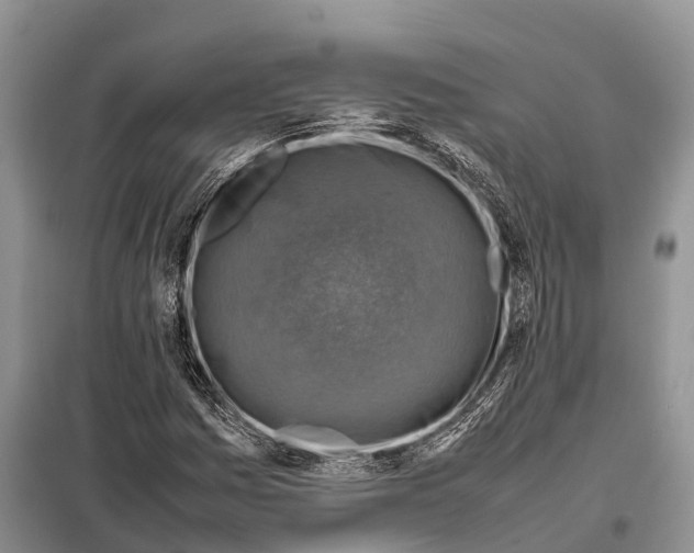 X0000097901161200804111037