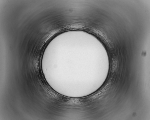 X0000097901162200804111037