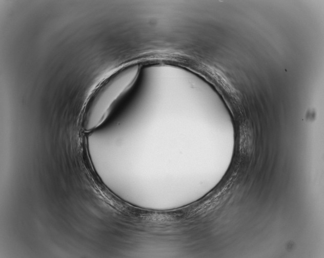 X0000097901164200804111037