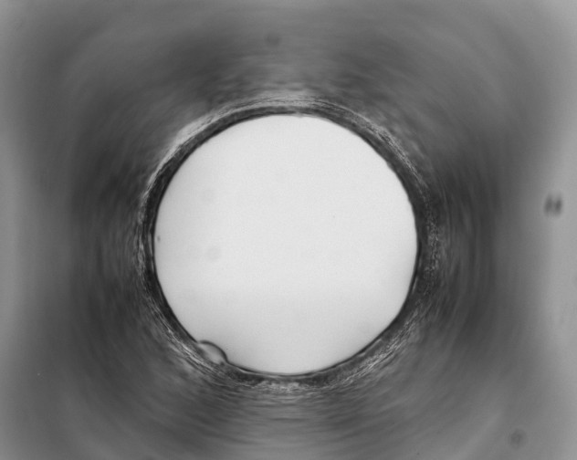 X0000097901168200804111037