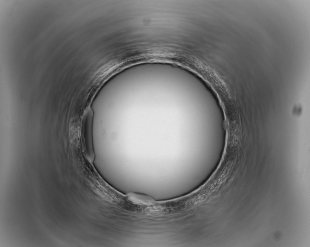 X0000097901169200804111036