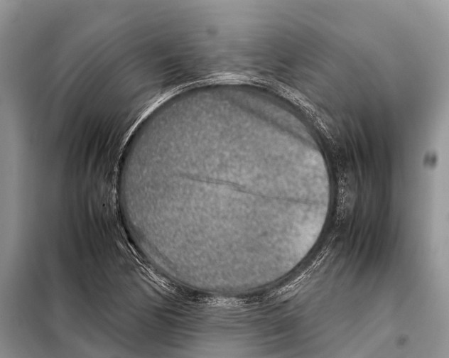 X0000097901170200804111036