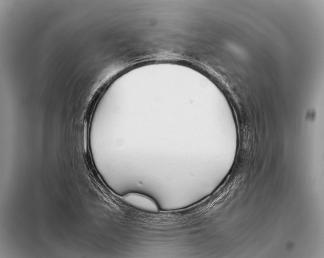 X0000097901171200804111036