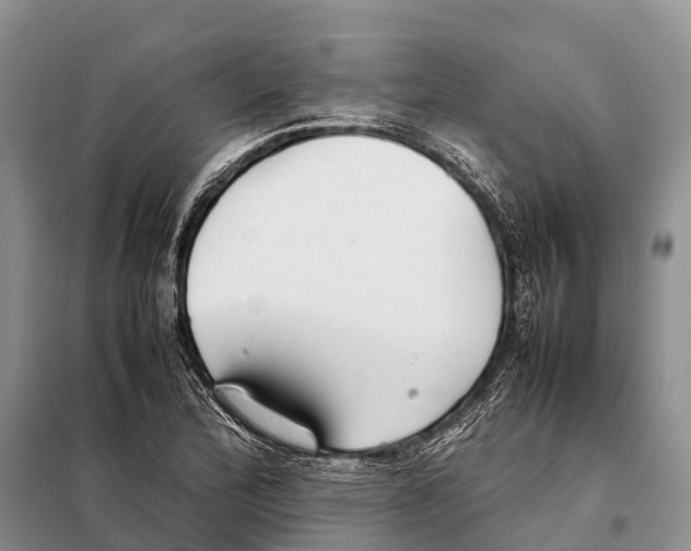 X0000097901172200804111036