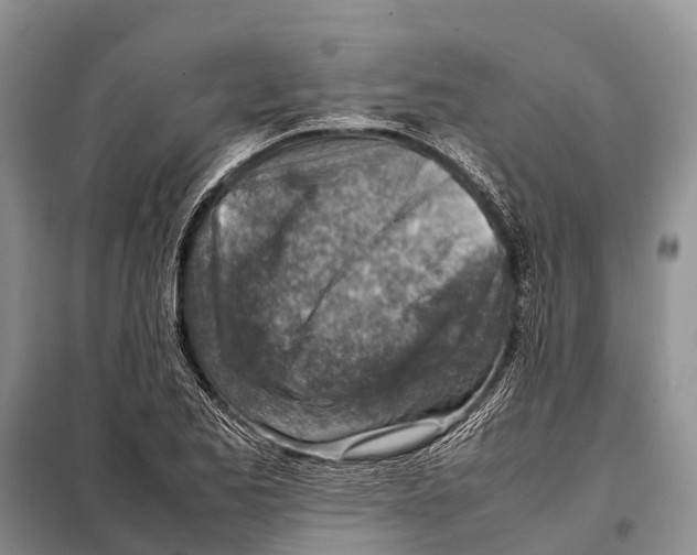 X0000097901173200804111036