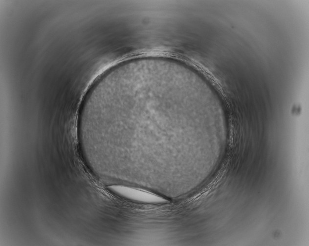 X0000097901174200804111036