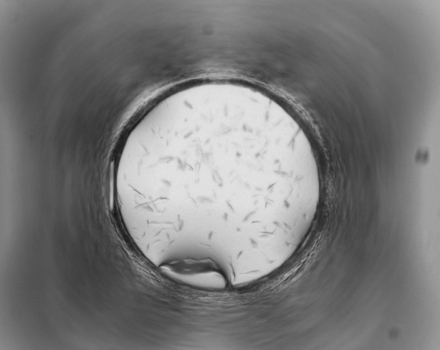X0000097901175200804111036