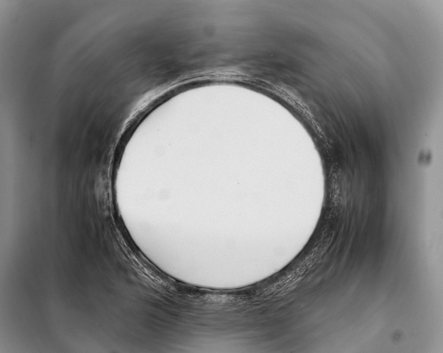 X0000097901176200804111036