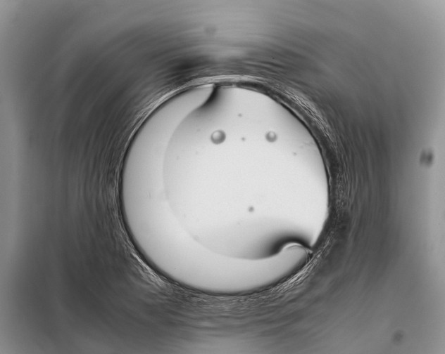 X0000097901177200804111036