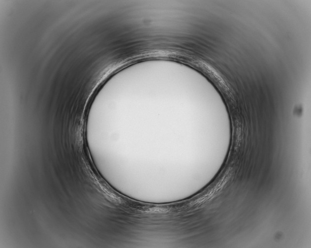 X0000097901178200804111036