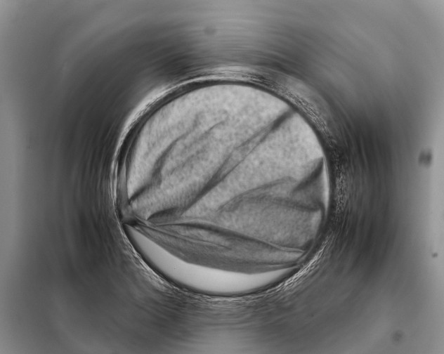 X0000097901180200804111036