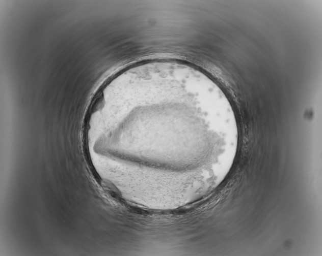 X0000097901181200804111036