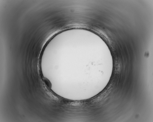 X0000097901182200804111036