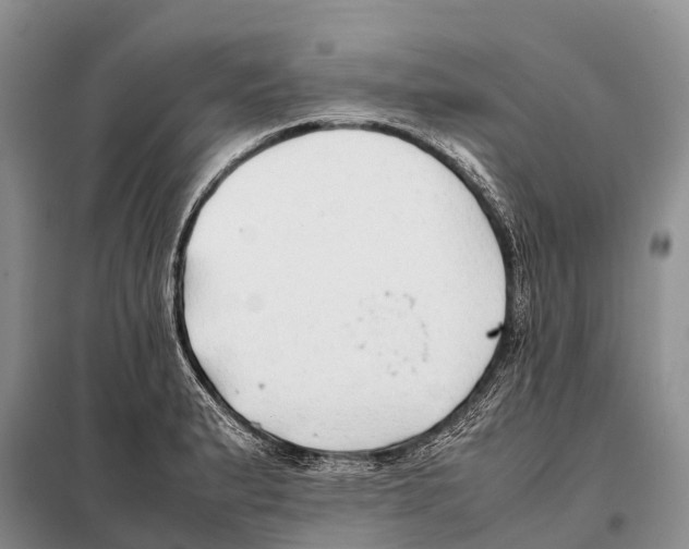 X0000097901183200804111036