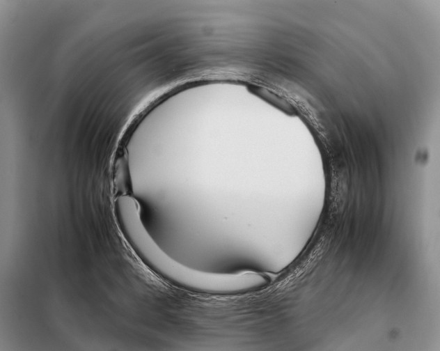 X0000097901184200804111036