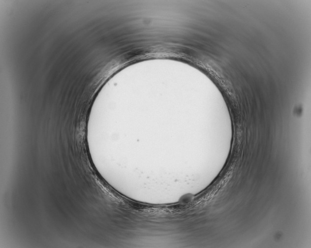 X0000097901185200804111036