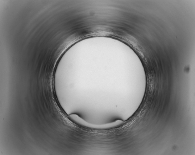 X0000097901186200804111036