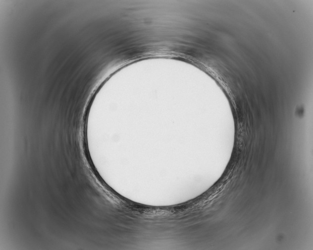 X0000097901187200804111036